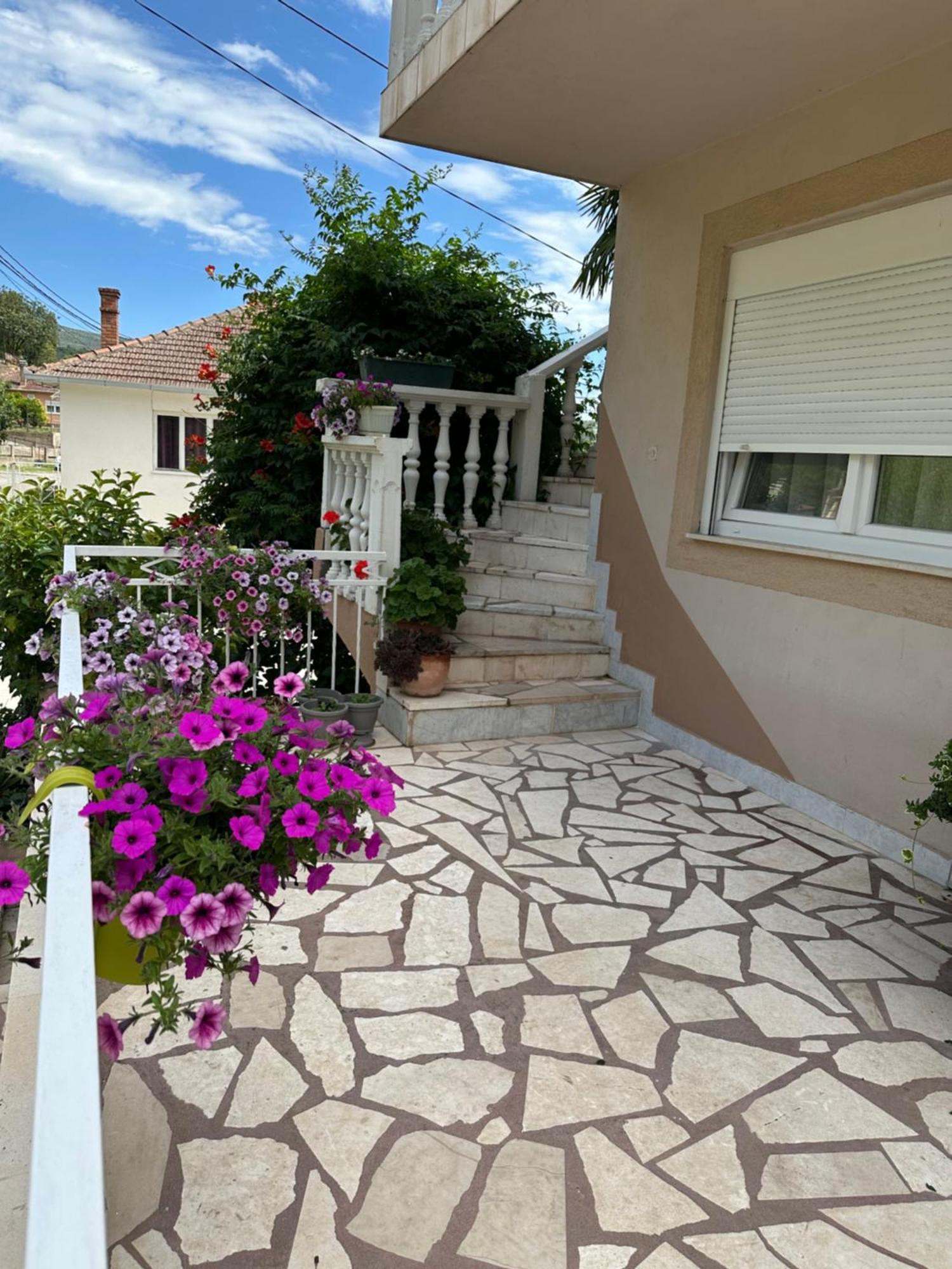 Sunny House *